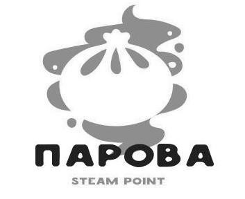 steam point