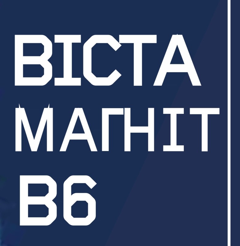 віста магніт в6