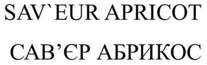 sav`eur apricot