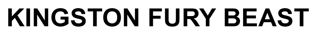kingston fury beast