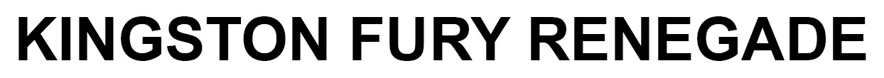kingston fury renegade
