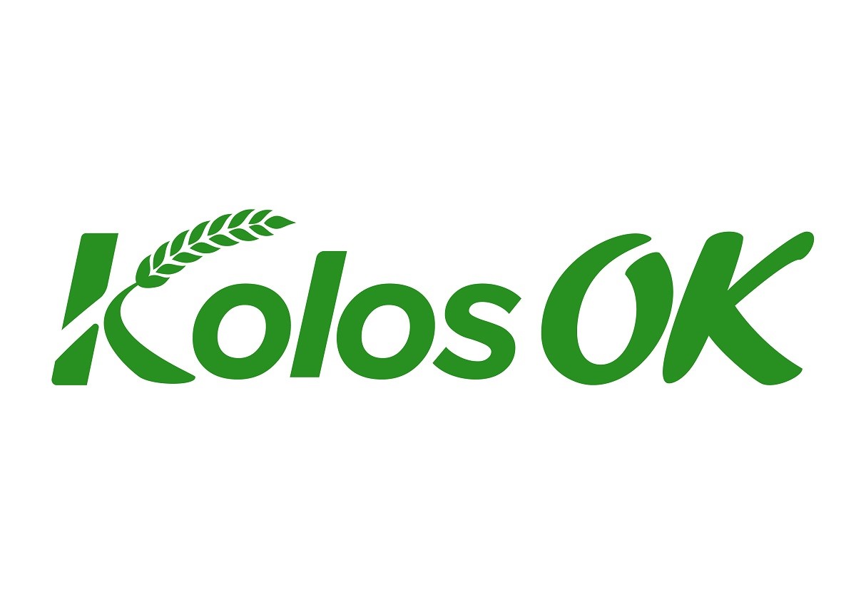 kolos ok