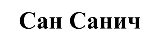 сан санич