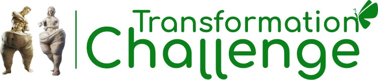 transformation challenge