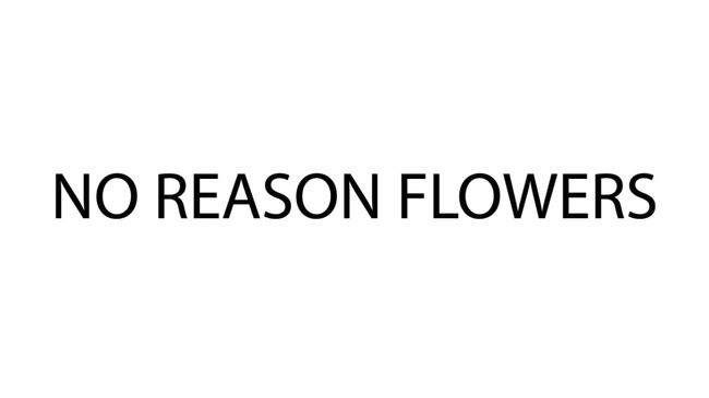 no reason flowers