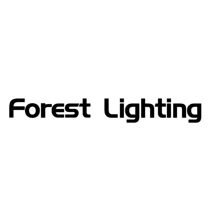 forest lighting