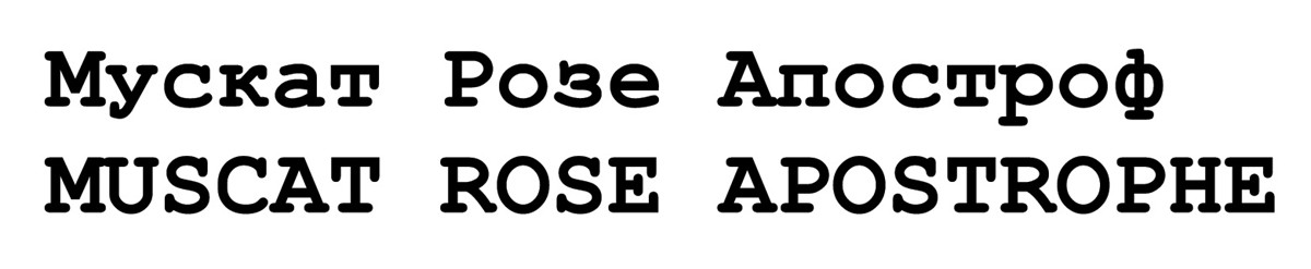 muscat rose apostrophe