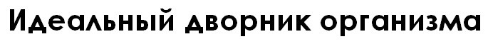 идеальный дворник организма