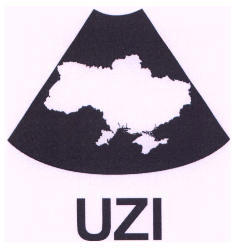 uzi