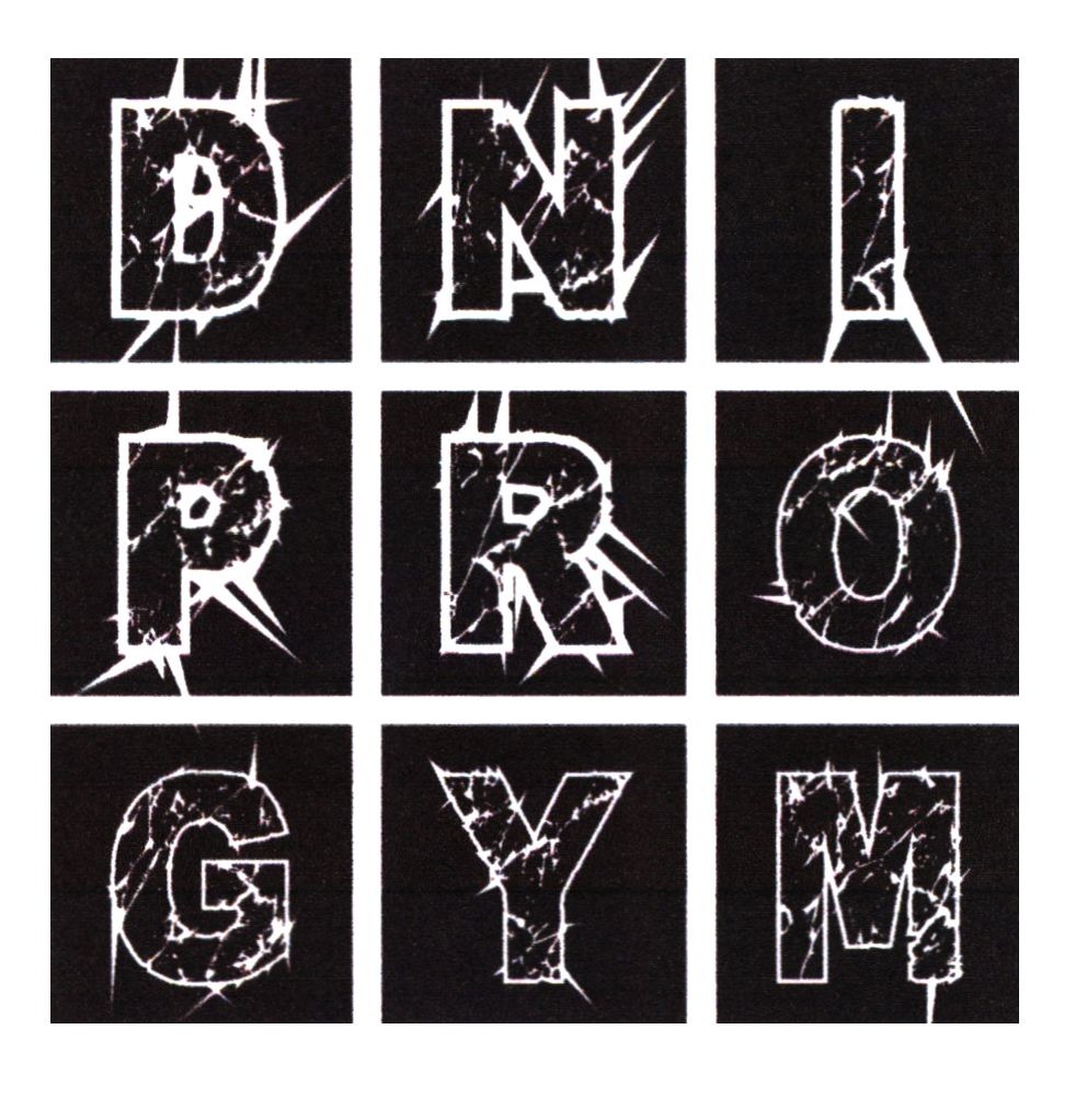 dni pro gym