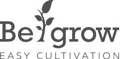 be grow easy cultivation