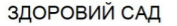 здоровий сад