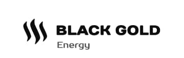 Лого ТМ black gold energy