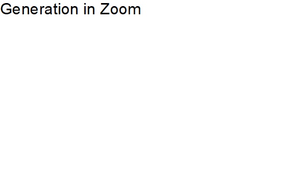 generation in zoom