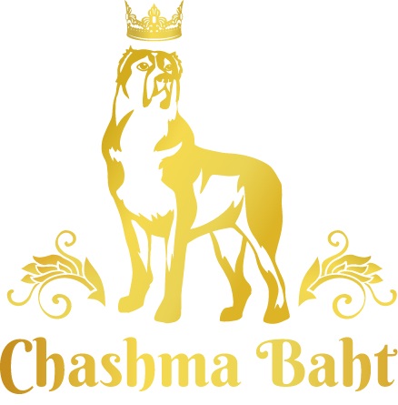 chashma baht