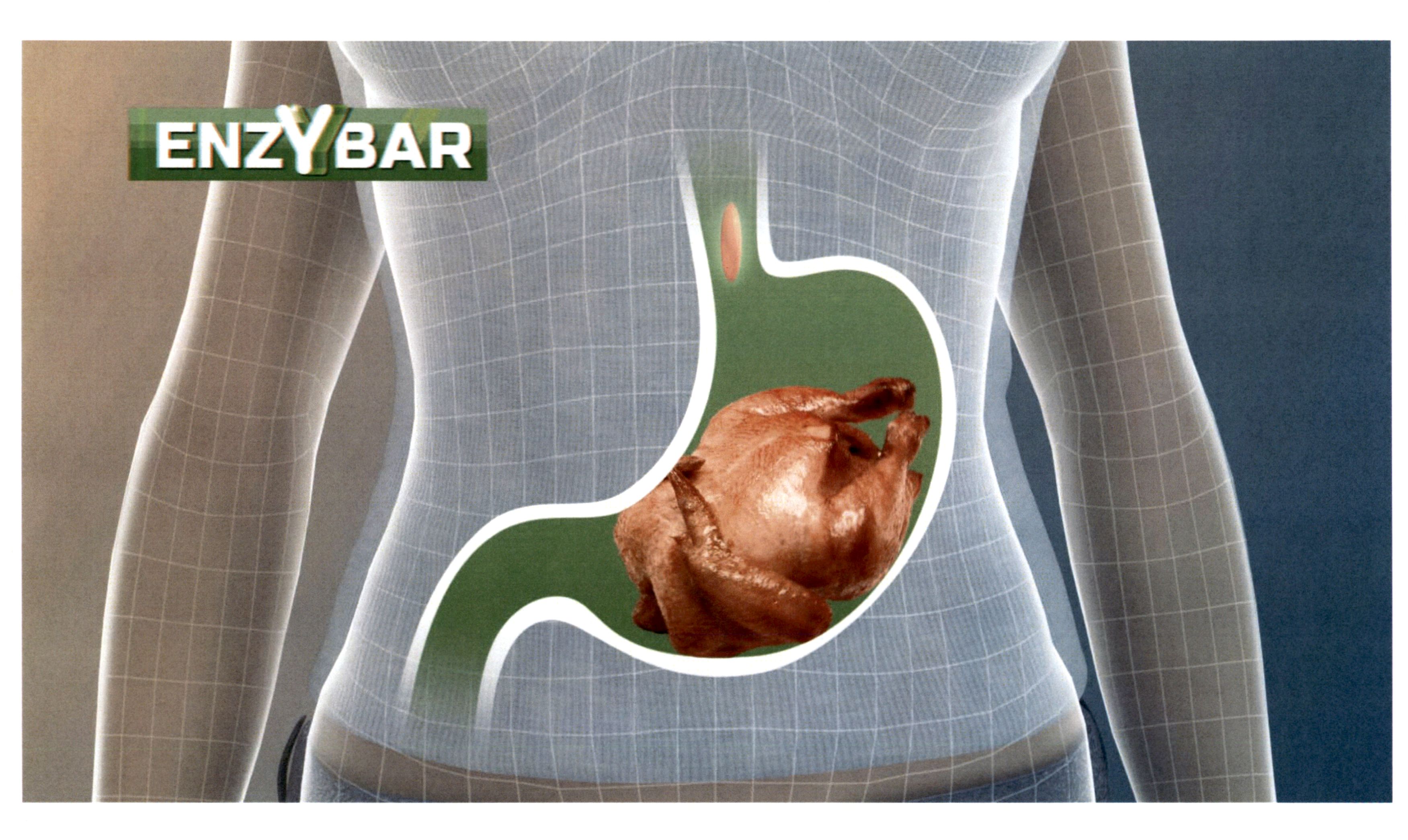 Лого ТМ enzybar