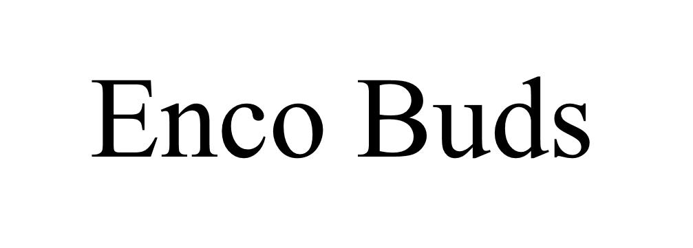 enco buds