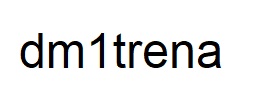 dm 1 trena