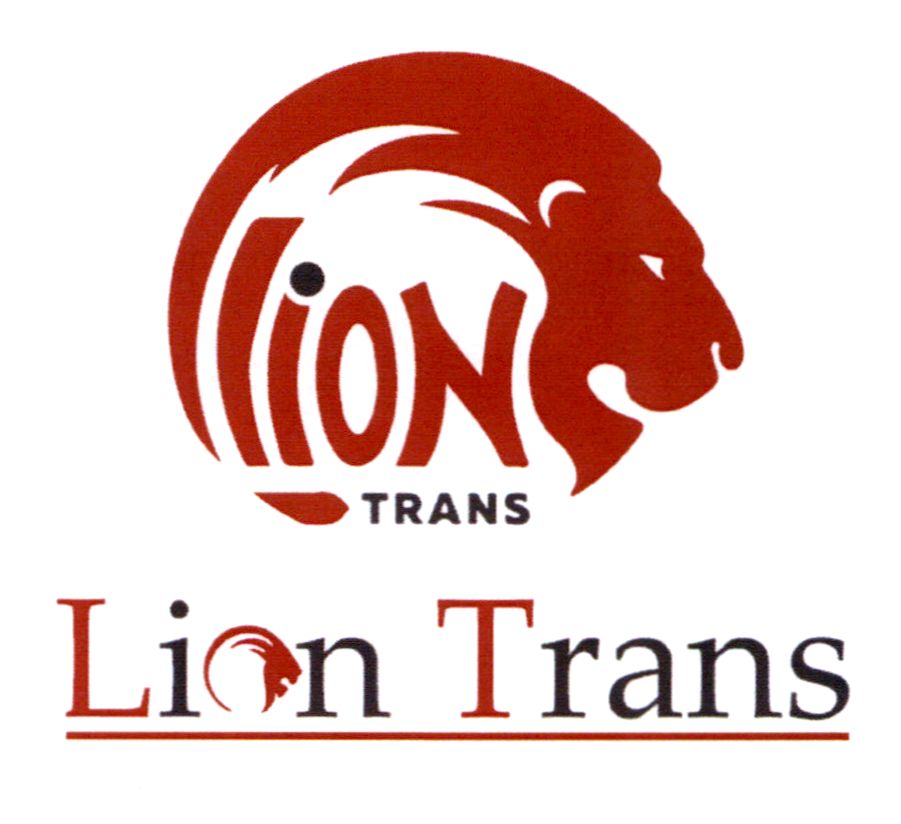 lion trans
