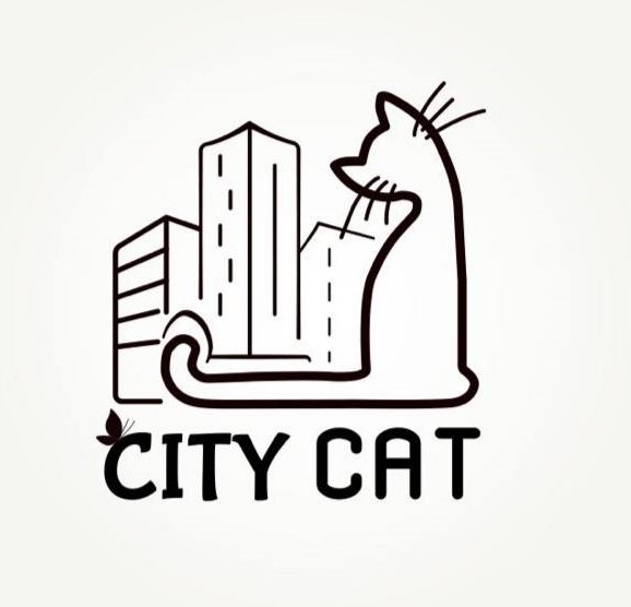 city cat