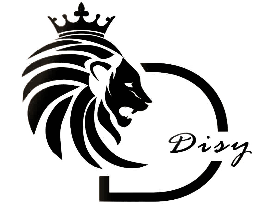 disy