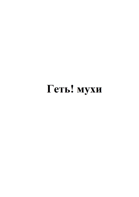 геть! мухи