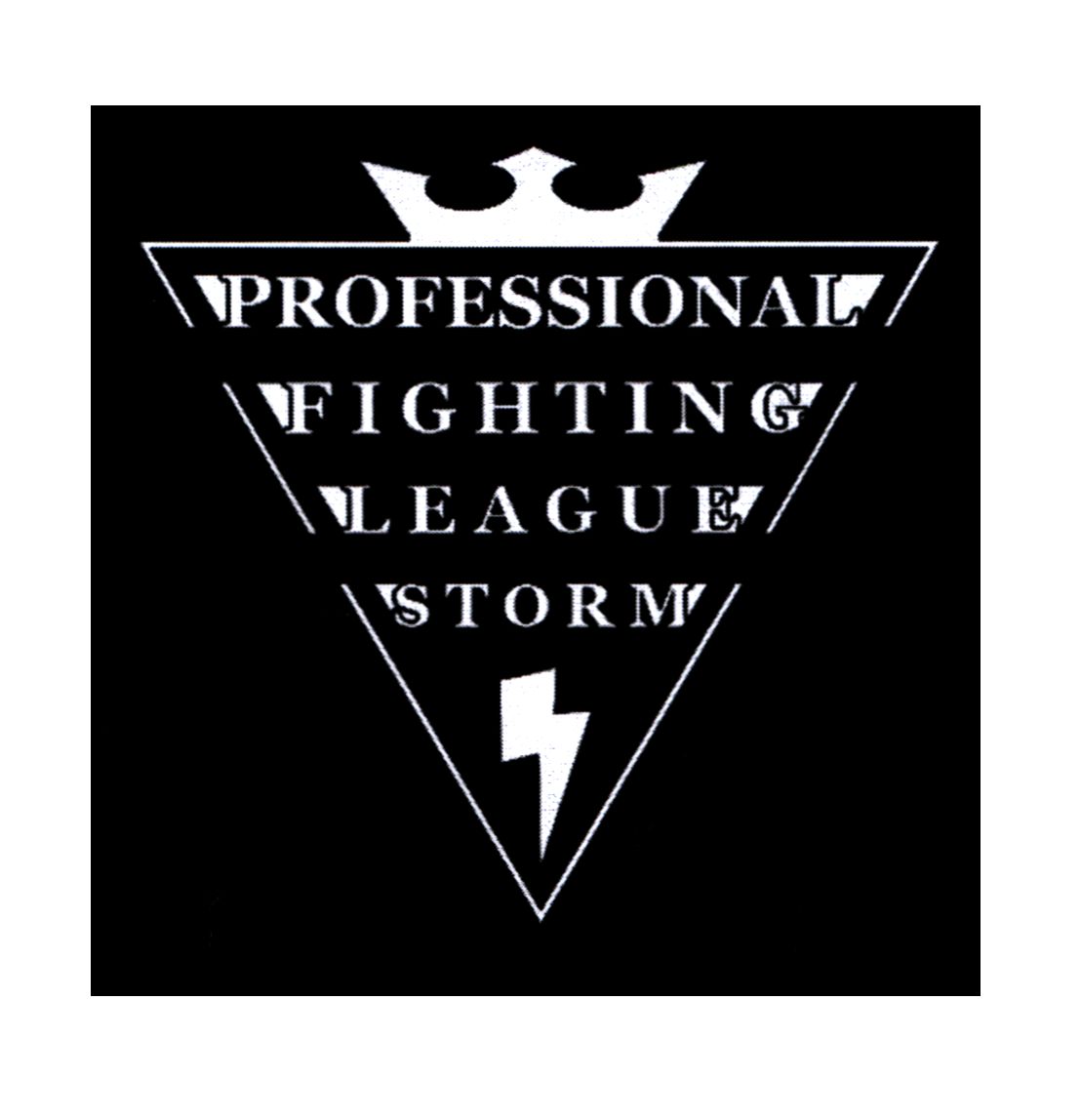 professional