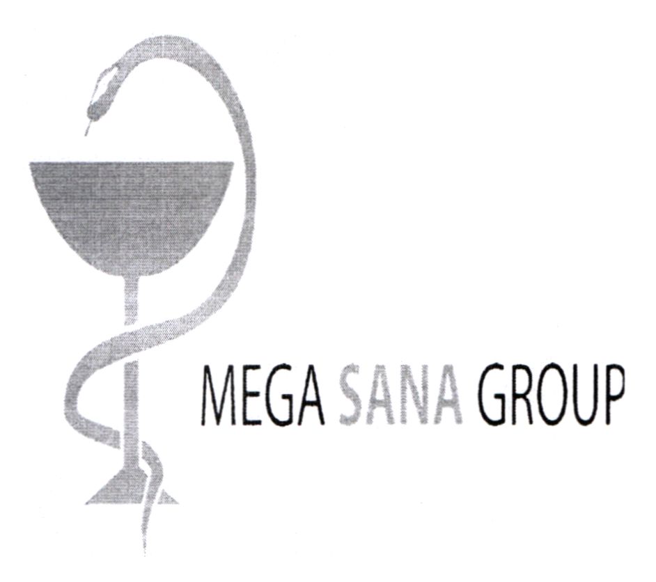 mega sana group