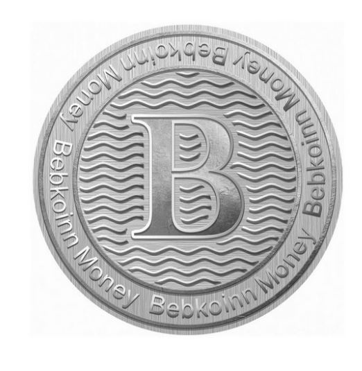 bebkoinn money