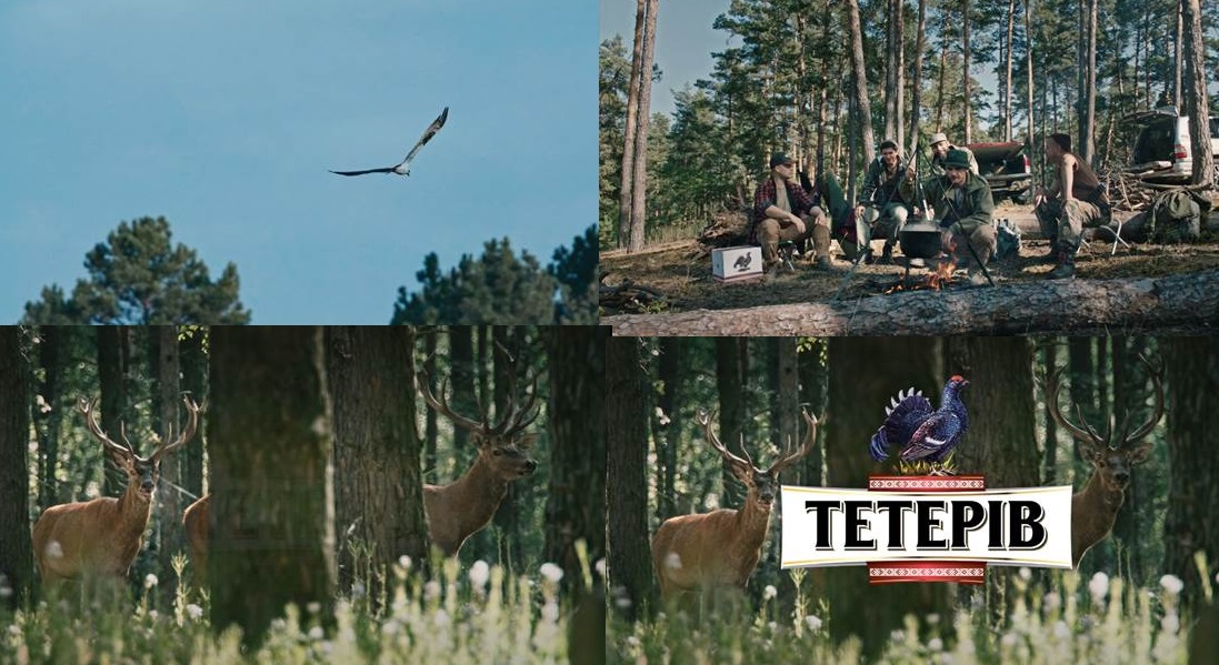 тетерів