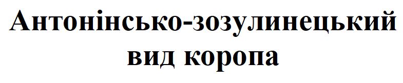 антонінсько-зозулинецький вид коропа