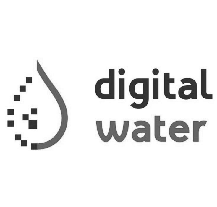 digital water