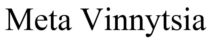meta vinnytsia