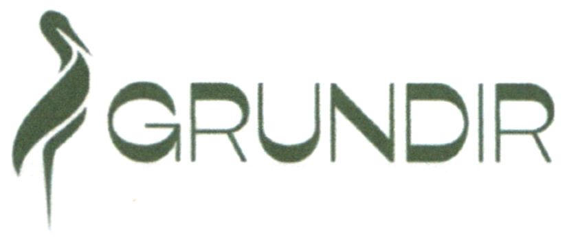 grundir