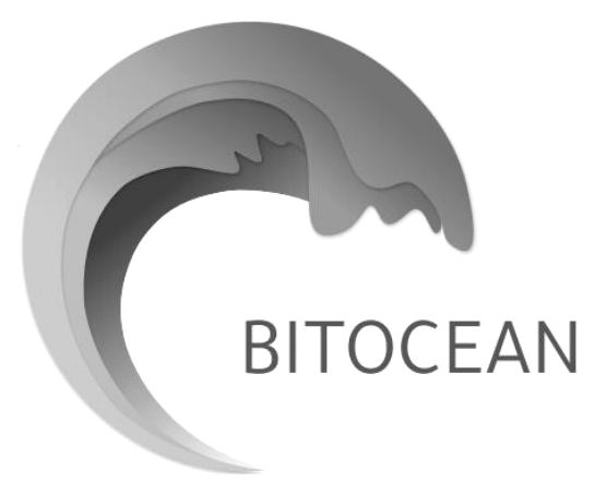 bitocean