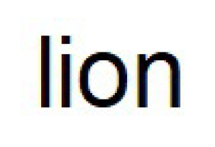 lion