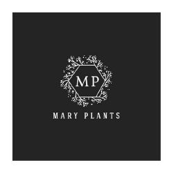 mary plants