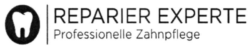 professionelle zahnpflege