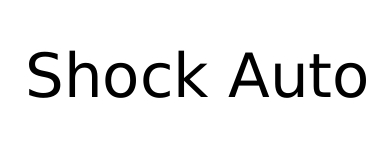 shock auto