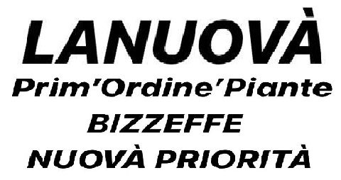prim ordine piante