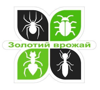 золотий врожай