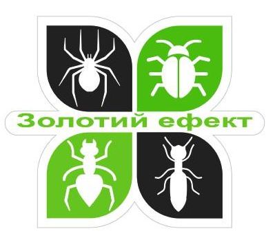золотой ефект