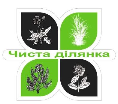 чиста ділянка