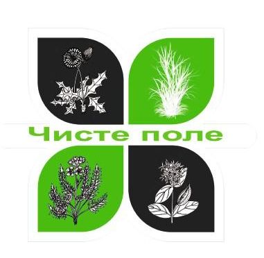 чисте поле