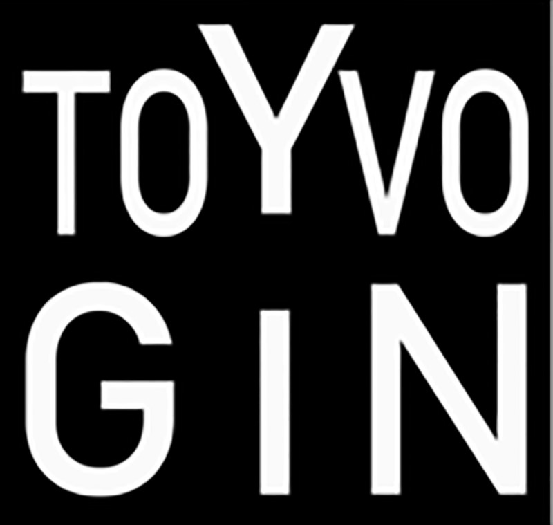 toyvo gin
