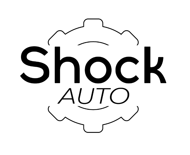 shock auto
