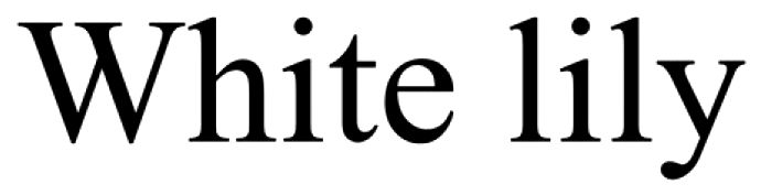 white lily