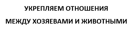 укрепляем отношения между хозяевами и животными