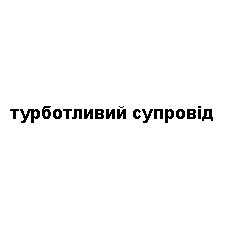 турботливий супровід