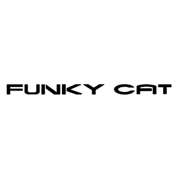funky cat